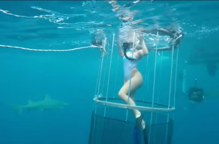 Девушка в бассейне с акулами