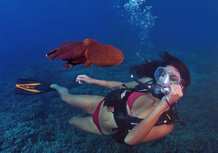 Дайвинг скуба герлз