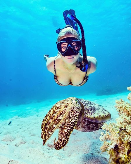 Снорклинг на мальдивах