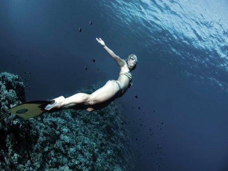 Сара кэмпбелл фридайвинг