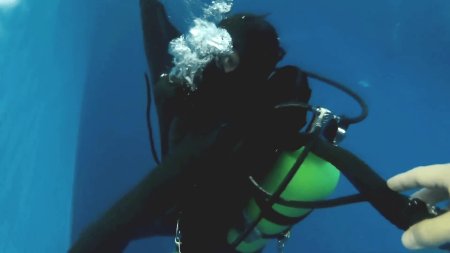 Джессика кокс аквалангист