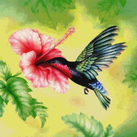 Колибри арт