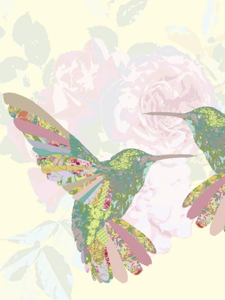 Обои с колибри для стен