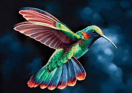 Птица колибри