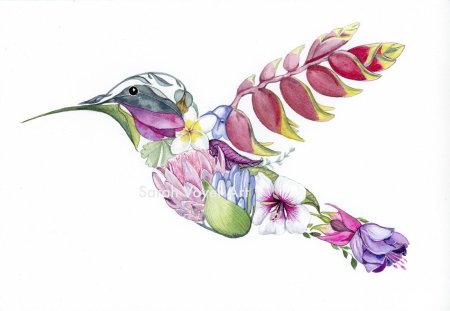 Тату колибри эскизы цветные