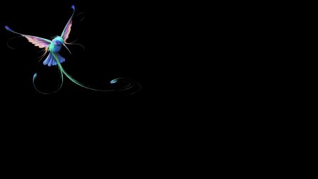 Птица колибри