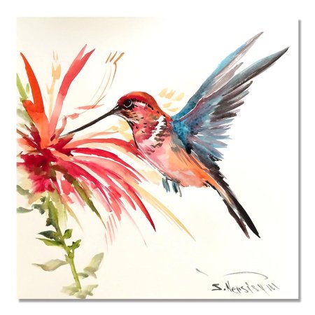 Колибри рисунки