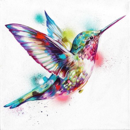 Колибри акварель