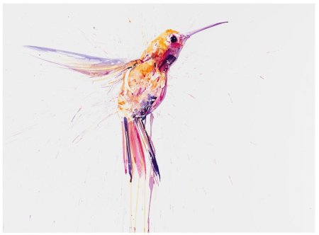 Колибри рисунки