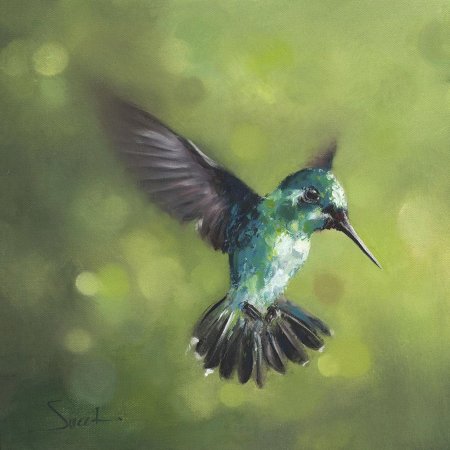 Колибри живопись