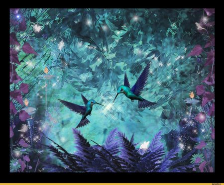 Сверкающий колибри