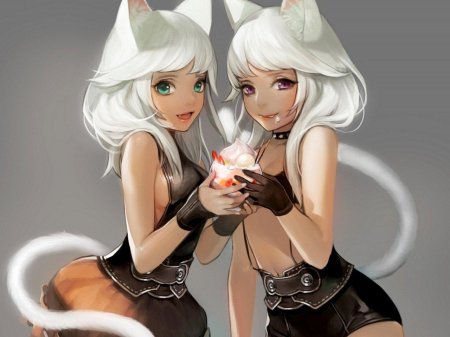 Неко близняшки