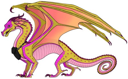 Кинкажу драконья сага