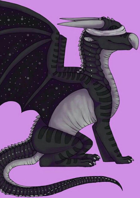 Звездокрыл дракоья чага