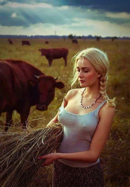 Давид дубницкий доярка