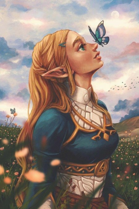 Принцесса зельда breath of the wild