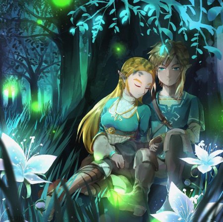 Zelda x link