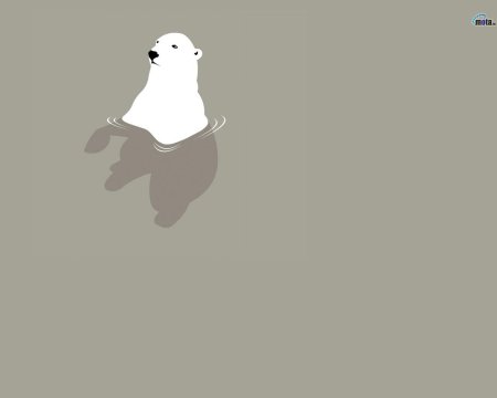 Полярные медведи