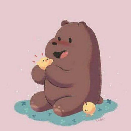 Вся правда о медведях гриз