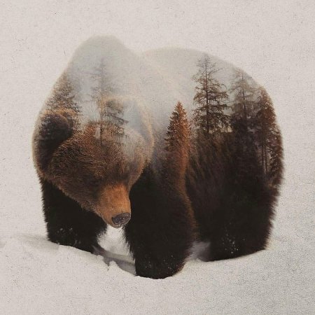 Картина медведей