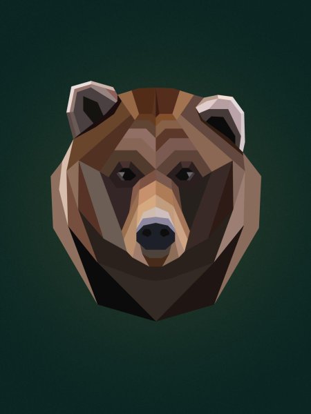Геометрический медведь