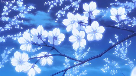 Голубая сакура