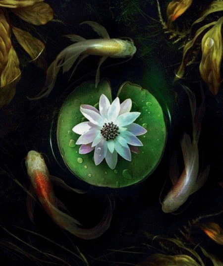 Цветы фэнтези