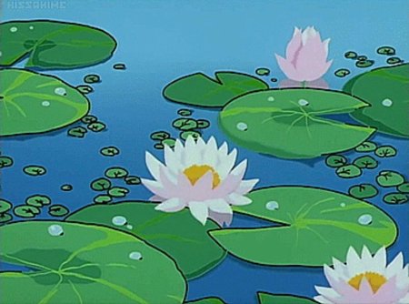 Кувшинка аниме