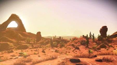 Игра пустошь