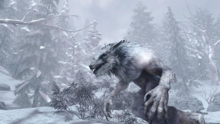 The elder scrolls v skyrim оборотень