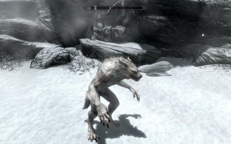 Скайрим вервольф девушка