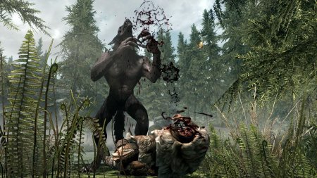 Мод на скайрим