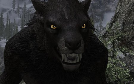 Скайрим lykaia female nord werewolf