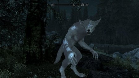 Белый вервольф скайрим