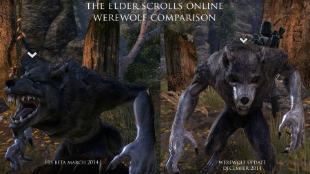The elder scrolls вервольф