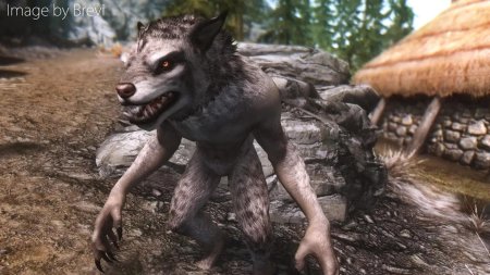 Скайрим каджит вервольф