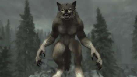 Скайрим lykaia female nord werewolf