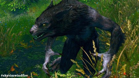 Вервольф скайрим