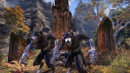 The elder scrolls вервольф