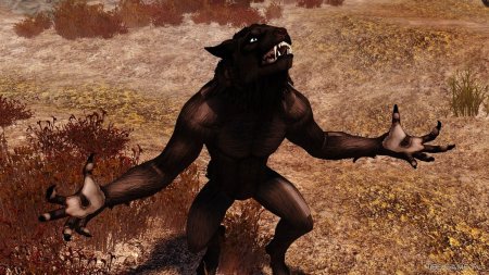 Компаньон оборотень скайрим