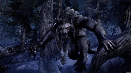 Вервольф скайрим