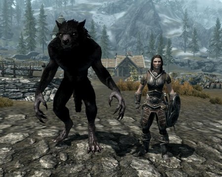 The elder scrolls v skyrim оборотень