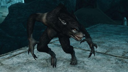 Вервольфы скайрим арт