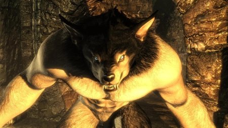 Каджит оборотень скайрим