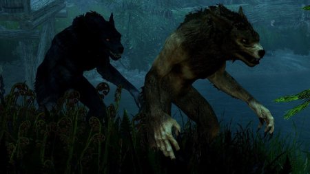 The elder scrolls v skyrim оборотень