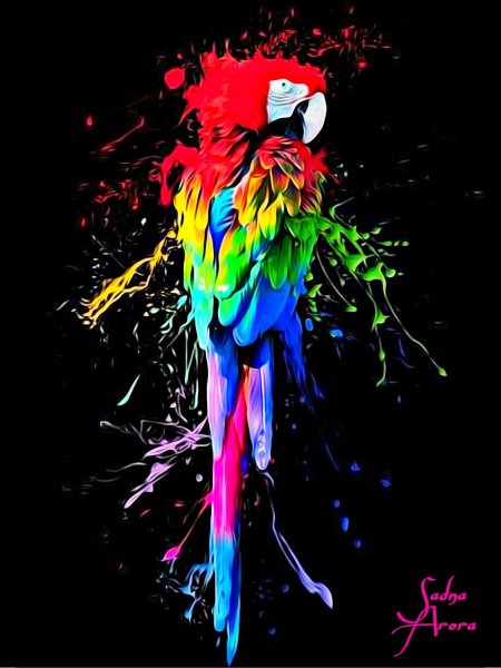 Попугай разноцветный