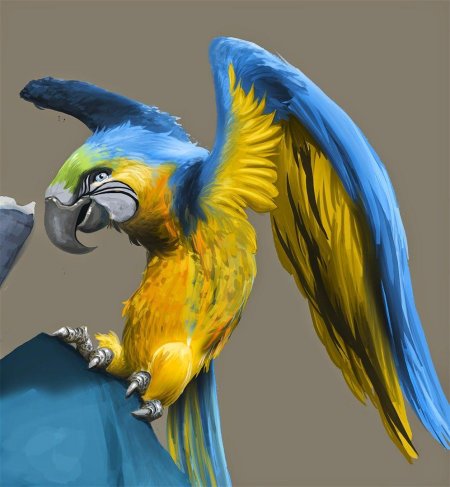 Попугаи ара