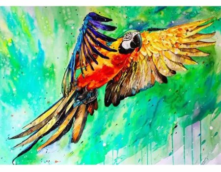 Попугай картина