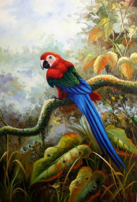 Картина попугай