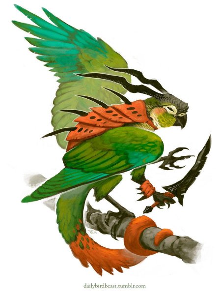 Попугай арт